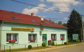 Hotel Penzion U Balcarky à Ostrov u Macochy Exterior photo