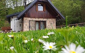 la LUNA delle MONTAGNE Chalet Tarvisio Exterior photo