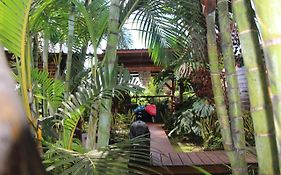 Lodge Ylang Ylang, Liane De Jade 974 -Piscine - Jacuzzi Privatif Le Bois de Nefles  Exterior photo