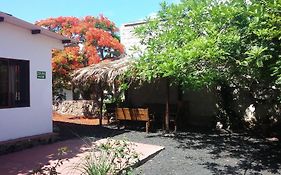 Auberge de jeunesse Hostal Vista Al Mar à Puerto Ayora  Exterior photo