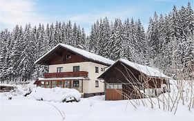 Hotel Groes Ferienhaus In Gosau Exterior photo