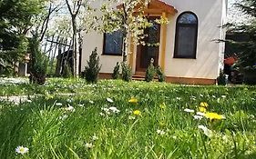 Villa Tiny Cabin à Braşov Exterior photo