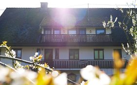 Villa Buhlbauernhof à Bad Peterstal-Griesbach Exterior photo