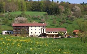 Hotel Dornroeschen à Höchst im Odenwald Exterior photo