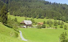 Villa Blumbauernhof à Gutach Exterior photo