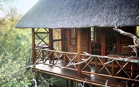 Lion Tree Bush Lodge Marloth Park Exterior photo