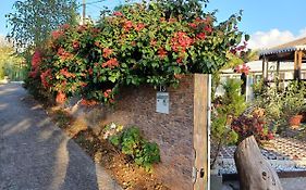 Bed and Breakfast Le Bougainvillier à La Plaine des Cafres Exterior photo