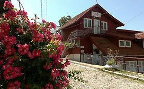 Hotel Pensiunea Floare De Colt à Sinaia Exterior photo