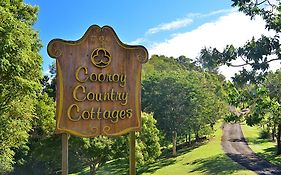 Cooroy Country Cottages Black Mountain Exterior photo