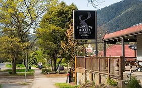 The Harrietville Snowline Hotel Exterior photo