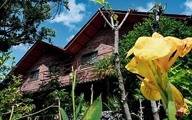 Hôtel Stone Cabins Boquete Exterior photo