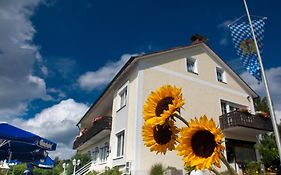 Hotel Landgasthof Am Sonnenhang à Vohenstrauss Exterior photo