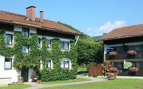 Hotel Ferienwohnanlage Oberaudorf Exterior photo