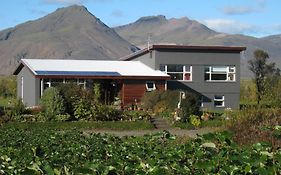 Dilksnes Guesthouse Höfn Exterior photo