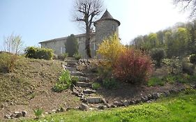 Château de la Moissetie Aurillac Exterior photo