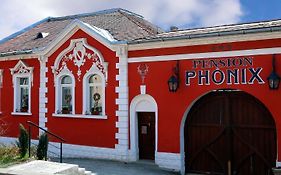 Pension Phoenix Sighişoara Exterior photo