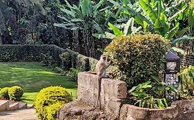 Mvuli Hotels Arusha Exterior photo