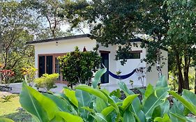 Gumbo Limbo Jungle Resort Cool Shade Exterior photo