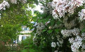 Bed and Breakfast La Butte de Gohier à Blaison-Gohier Exterior photo