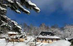 Hotel Casa Berg à Vişeu de Sus Exterior photo