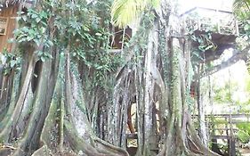 Villa Topos Tree House à Cahuita Exterior photo