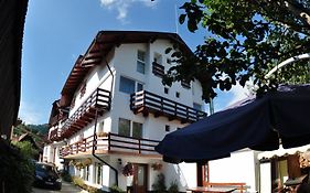 Hotel Pensiunea Maria à Moieciu de Jos Exterior photo