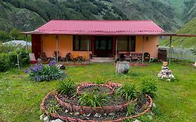 Villa Januka Garden In Sno à Kazbegi Exterior photo