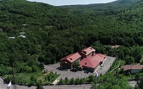 Tsaghkahovit Hotel Tsaghkadzor Exterior photo