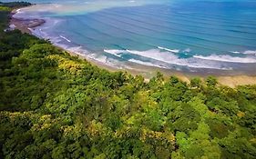 Four Monkeys Eco Lodge Jungle & Beach - The House Cabo Matapalo Exterior photo