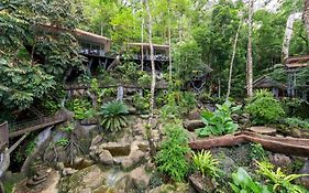 Rock And Tree House Resort Khao Sok National Park Exterior photo