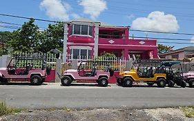 Auberge de jeunesse Da Pink And White Palace à Nassau Exterior photo