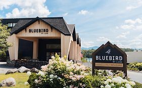 Hotel Bluebird Lake Placid Exterior photo