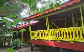 Villa El Jardin De Playa Negra à Puerto Viejo de Talamanca Exterior photo