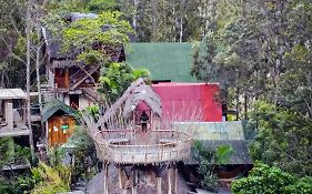 Eco Quechua Lodge Santa Teresa  Exterior photo