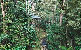 Villa Narrows Escape Rainforest Retreat à Montville Exterior photo