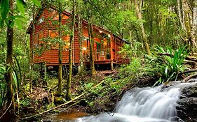 Villa The Mouses House Rainforest Retreat à Springbrook Exterior photo