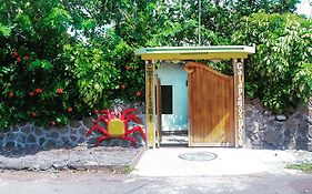 Hotel Galapagos Dove à Puerto Ayora  Exterior photo