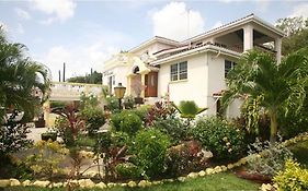 Palm Paradise Guest House&Apartments Les Barbades Exterior photo