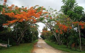 Orchid Garden Eco-Village Hotel Belize Belize City Exterior photo