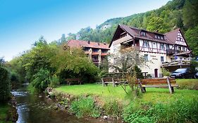 Landhotel Gasthof Wittstaig Gundelfingen  Exterior photo