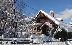 Villa Chalet Ramsau 8 à Bad Goisern Exterior photo