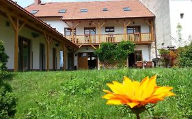 Hotel Pension Rondel à Poděbrady Exterior photo