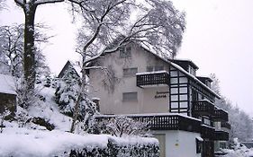 Villa Ferienhaus Hedrich à Assinghausen Exterior photo
