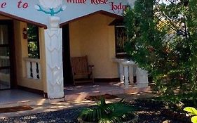 White Rose Lodge Livingstone Exterior photo