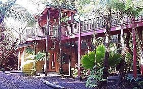 The Guest Cottages @ Volcano Acres Tree House Exterior photo