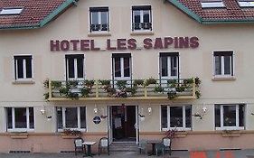 Hotel Les Sapins Gérardmer Exterior photo