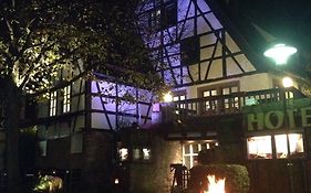 Hotel Restaurant Altes Badhaus Eberbach  Exterior photo