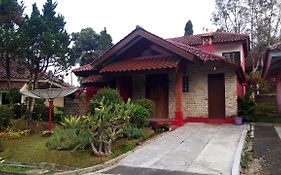 Zevannya Villa Melati Kota Bunga Puncak Exterior photo
