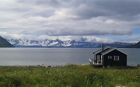 Hôtel Arctic Fjordcamp à Burfjord Exterior photo