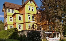 Hotel Landhaus Irmgard à Braunlage Exterior photo